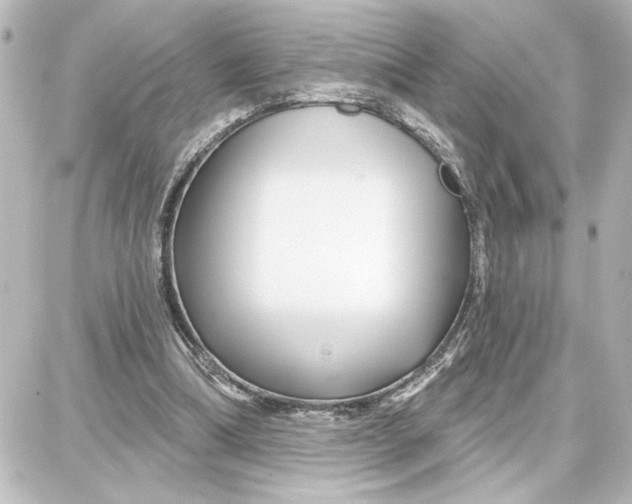 X0000087680298200705251650