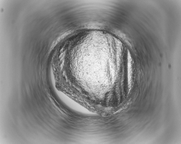 X0000087680299200705251650