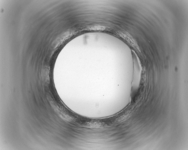 X0000087680300200705251650