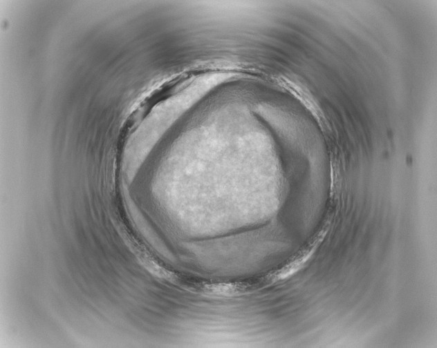 X0000087680301200705251650