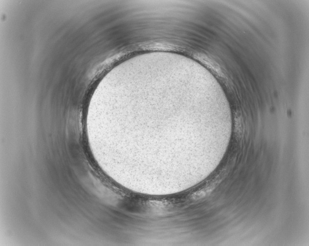 X0000087680302200705251650