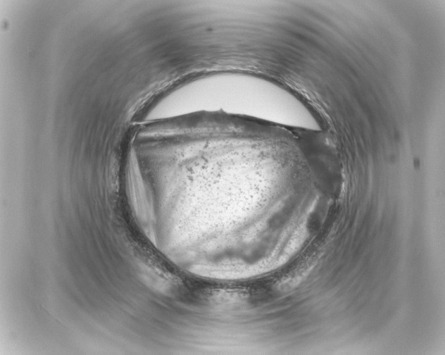 X0000087680303200705251650