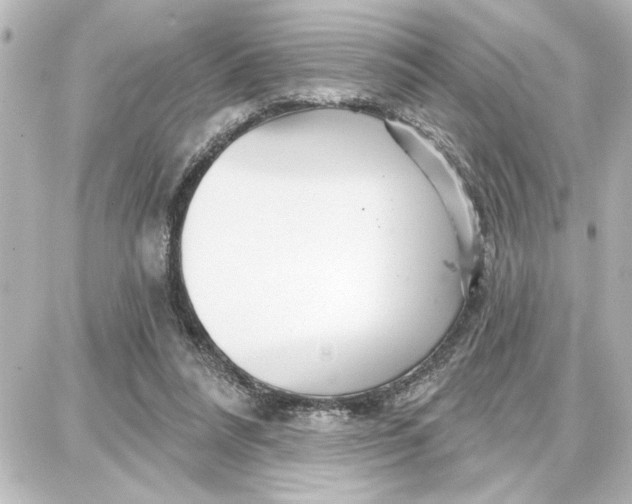 X0000087680304200705251650