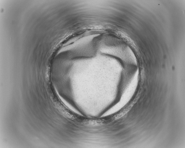 X0000087680305200705251650