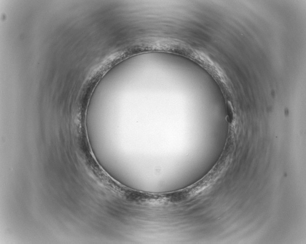 X0000087680306200705251650