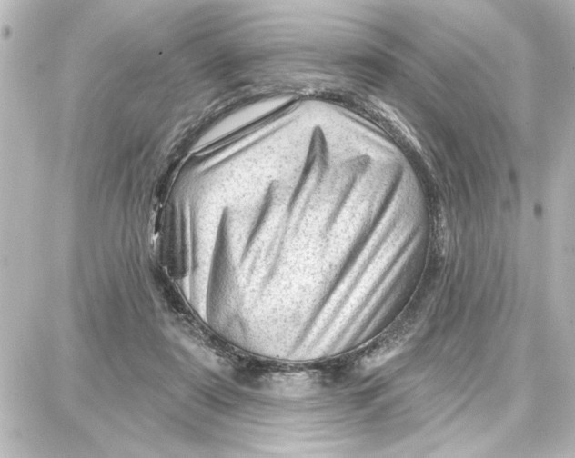 X0000087680307200705251650