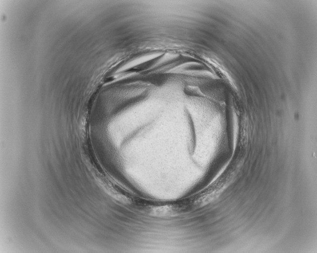 X0000087680309200705251650