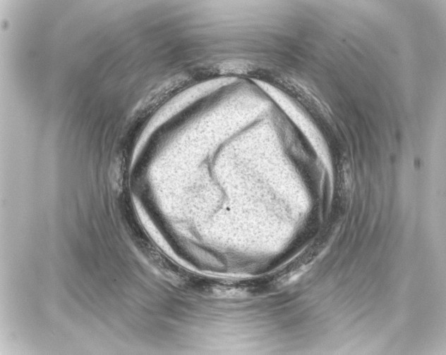 X0000087680311200705251650