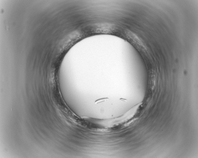 X0000087680312200705251650