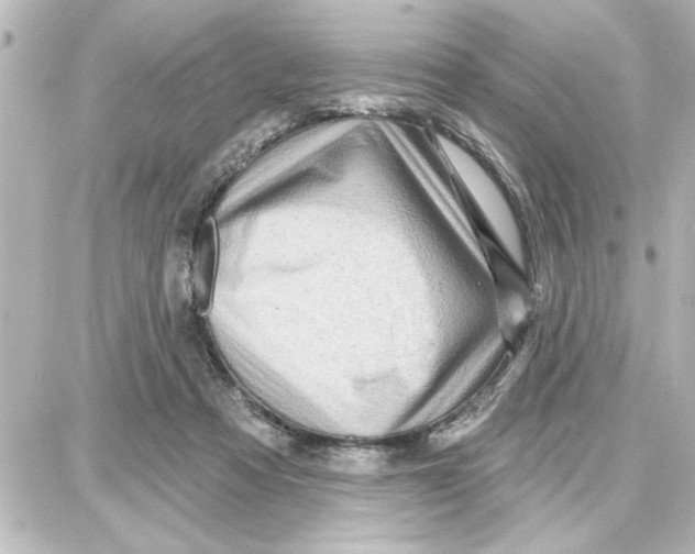 X0000087680313200705251650