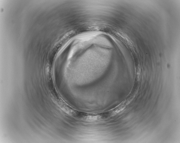 X0000087680314200705251650