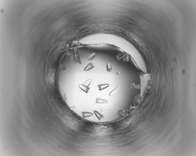 X0000087680315200705251650