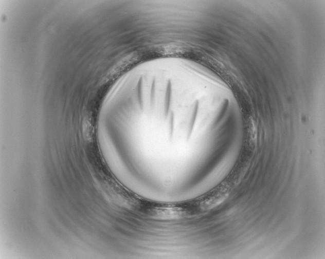 X0000087680316200705251650