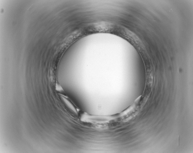 X0000087680317200705251650