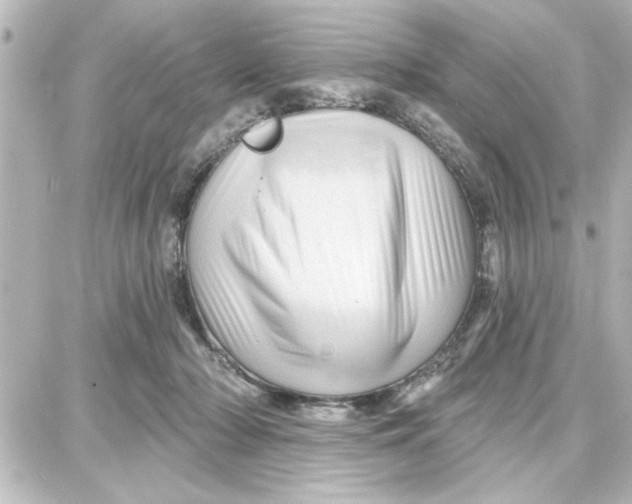 X0000087680318200705251650