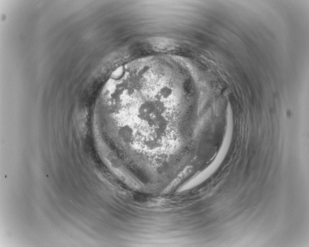 X0000087680319200705251650