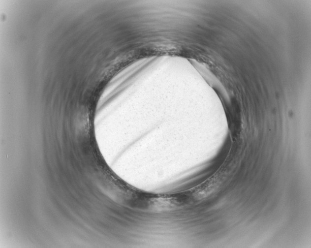 X0000087680320200705251650