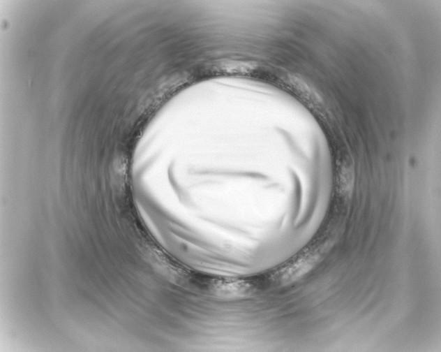 X0000087680321200705251650