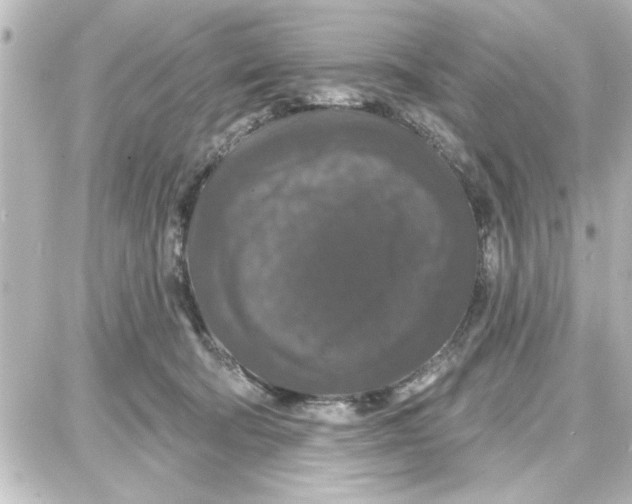 X0000087680322200705251650