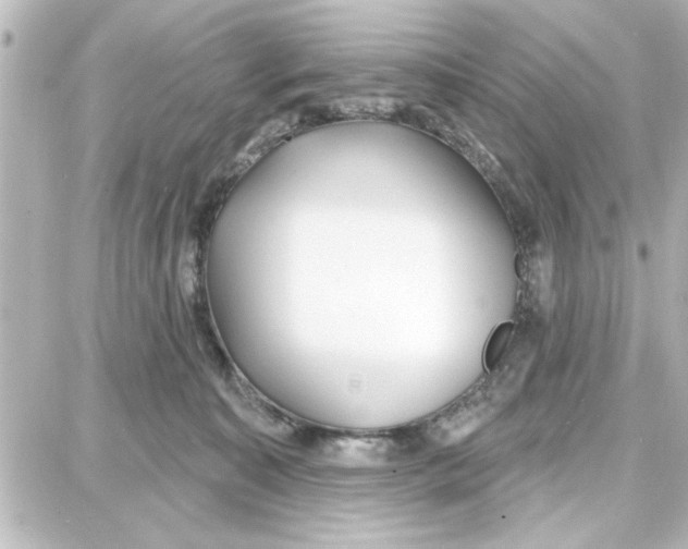 X0000087680323200705251650