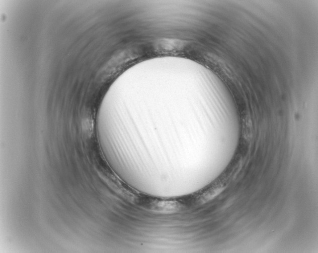 X0000087680324200705251650