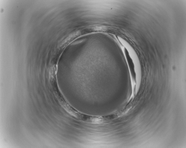 X0000087680325200705251650