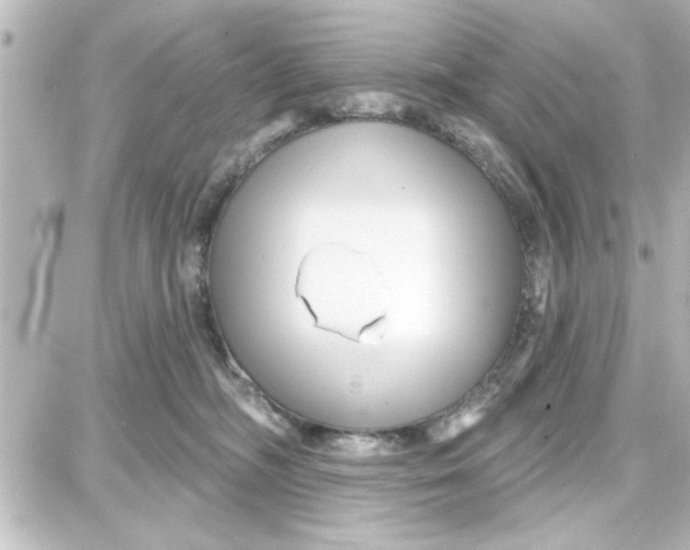 X0000087680326200705251650