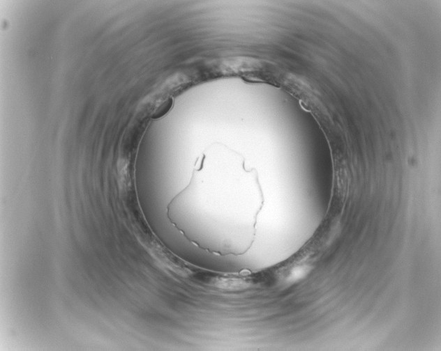 X0000087680327200705251650