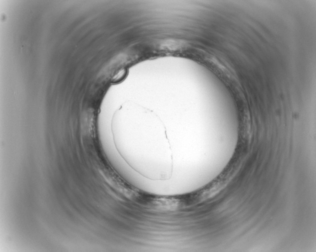 X0000087680328200705251650