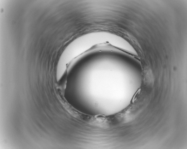 X0000087680329200705251650