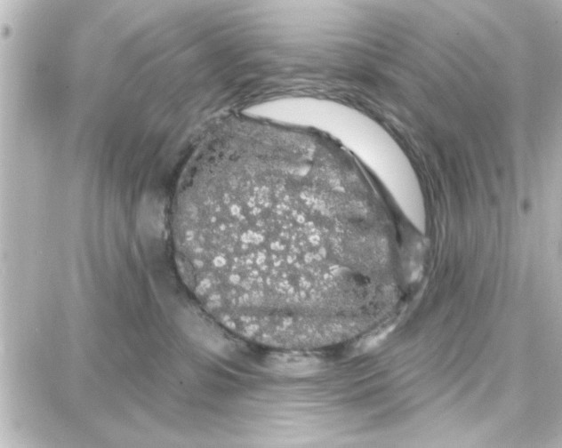 X0000087680331200705251650