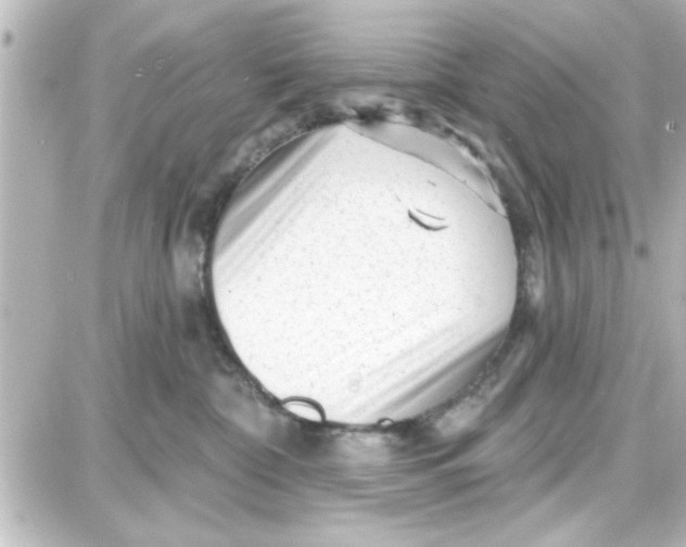 X0000087680332200705251650