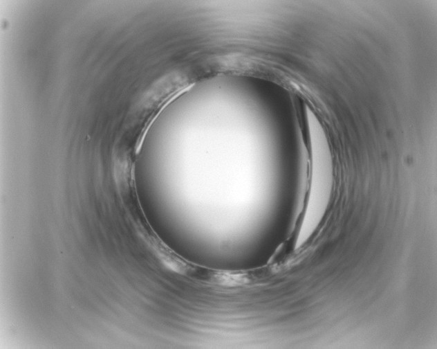 X0000087680333200705251650