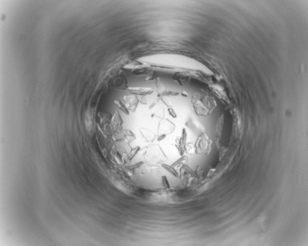 X0000087680335200705251650