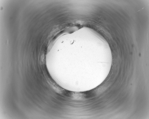 X0000087680336200705251650