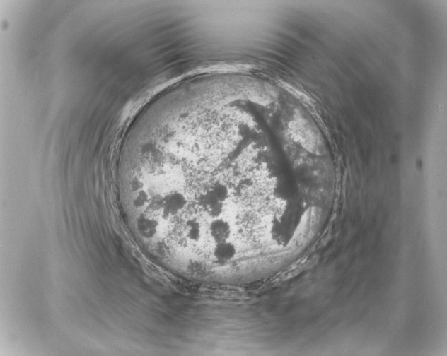 X0000087680337200705251649