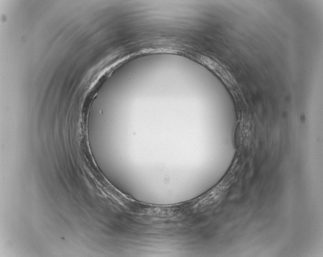 X0000087680338200705251649