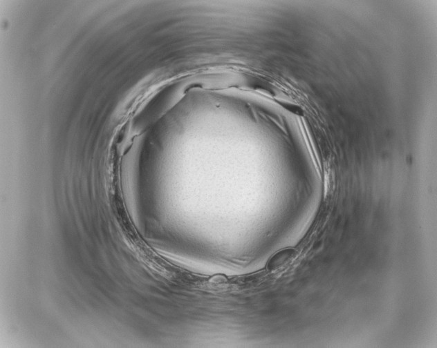 X0000087680339200705251649