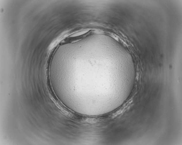 X0000087680341200705251649