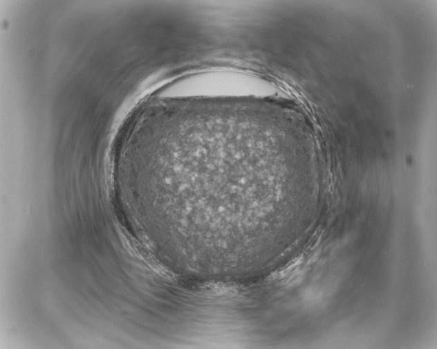 X0000087680343200705251649