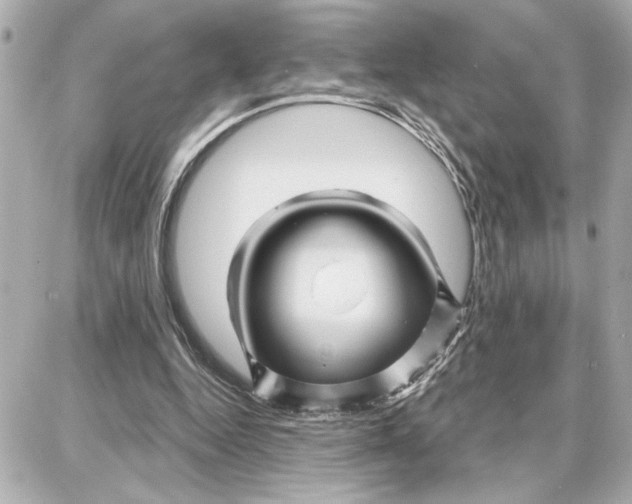 X0000087680344200705251649