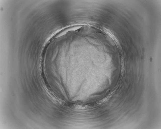 X0000087680346200705251649