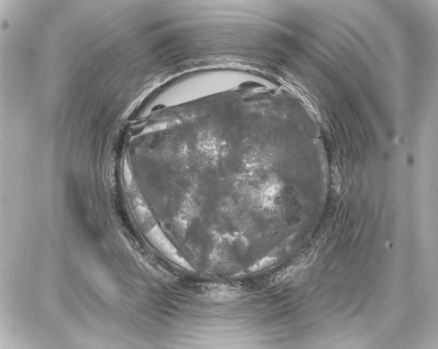 X0000087680347200705251649