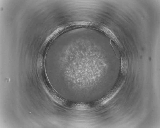 X0000087680348200705251649