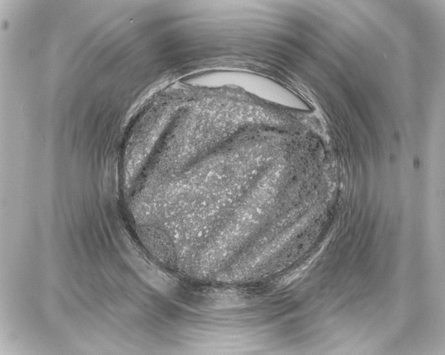 X0000087680349200705251649