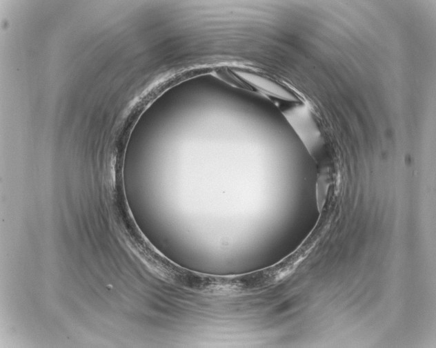 X0000087680350200705251649