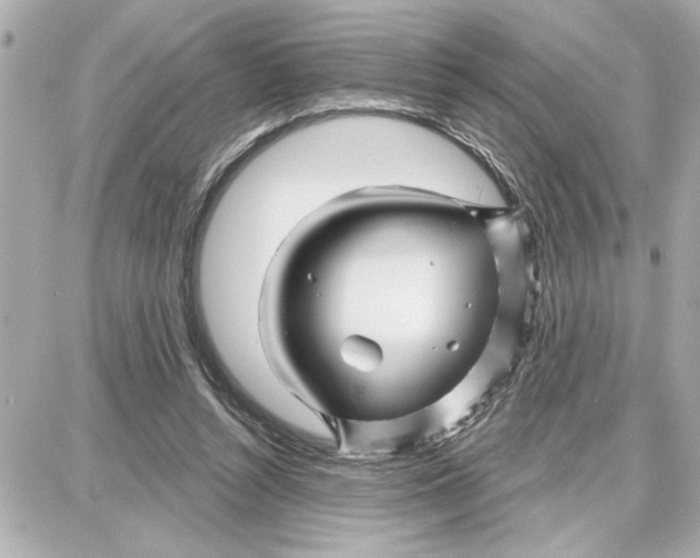 X0000087680352200705251649