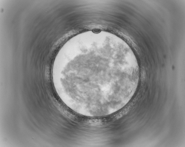 X0000087680353200705251649