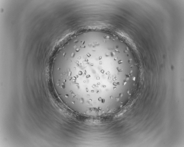 X0000087680354200705251649