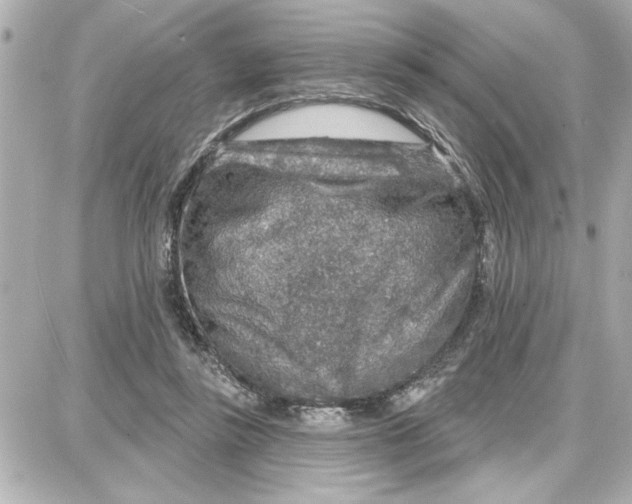 X0000087680355200705251649